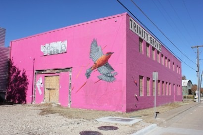 'Flycatcher' - Dallas Texas, USA - Handel With Care Project